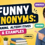 Synonyms for Funny