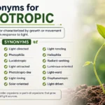 synonyms for phototropic
