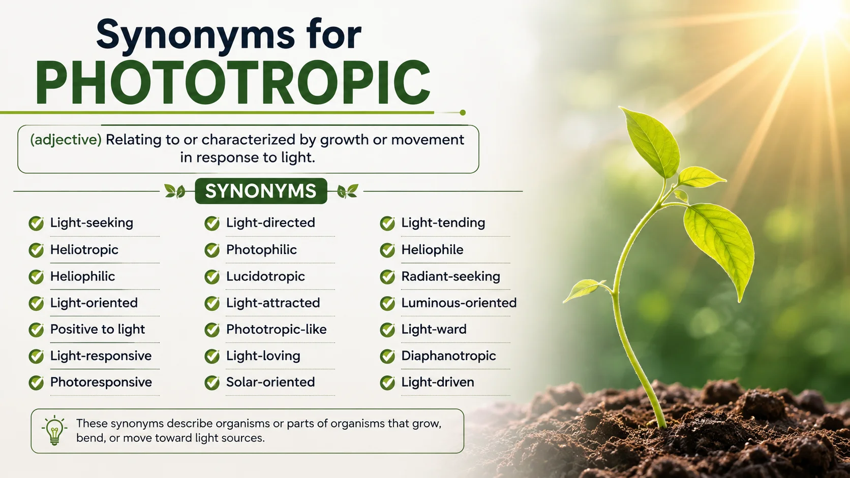 synonyms for phototropic