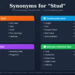 synonyms for stud