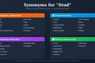 synonyms for stud