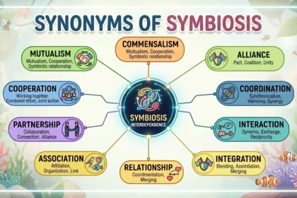 synonyms for symbiosis