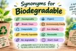 synonyms for biodegradable