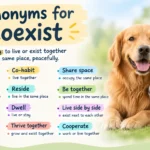 synonyms for coexist