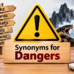 synonyms for dangers