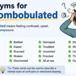 synonyms for discombobulated