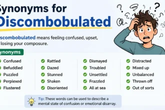 synonyms for discombobulated