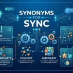 synonyms for sync