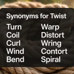 synonyms for twist