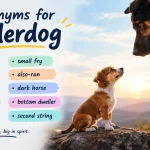 synonyms for underdog