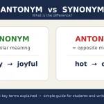 synonym or antonym